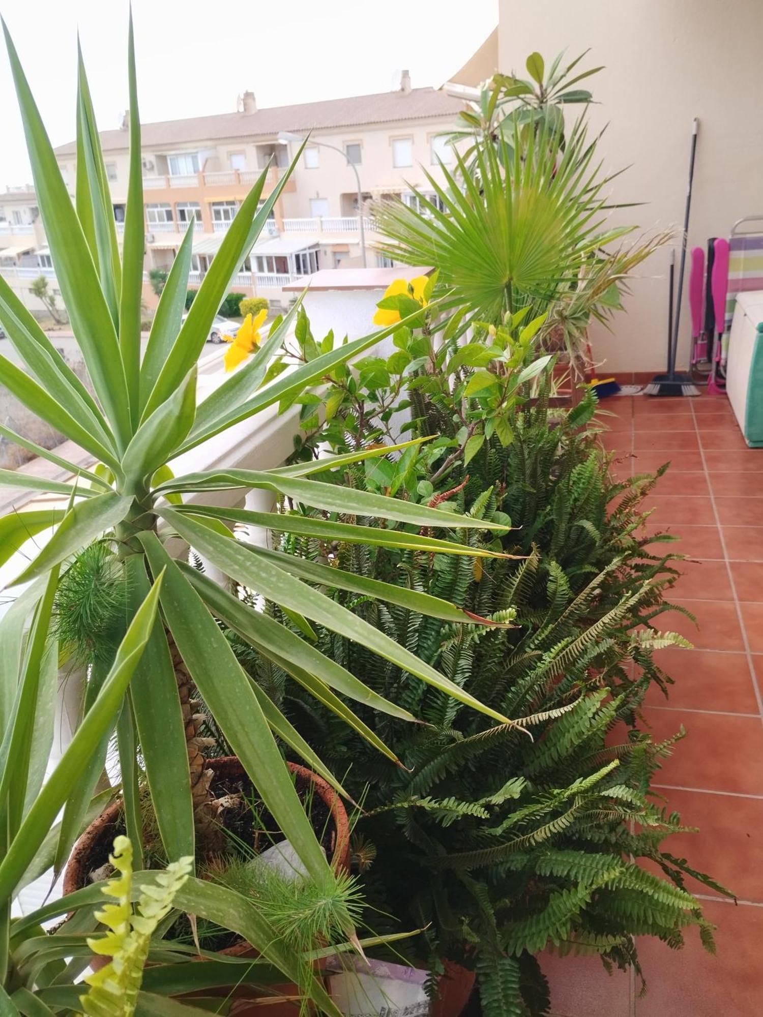 Casa Carino Apartment Torrox Exterior photo